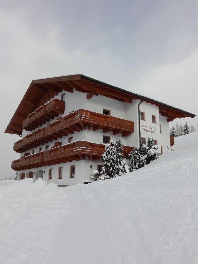 Berggasthof Bliembauer 阿尔滕马克特蓬高 外观 照片